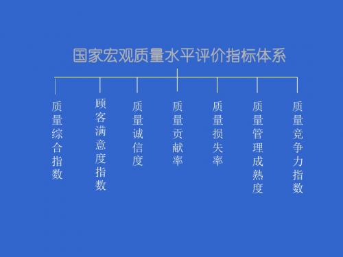 国家宏观质量水平评价指标体系