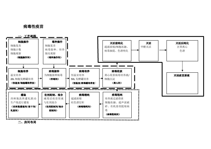 灭活、减毒疫苗工艺流程