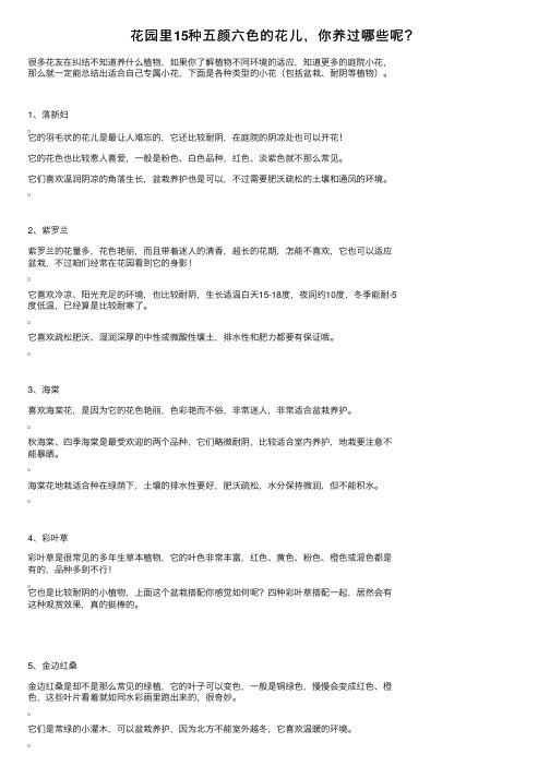 花园里15种五颜六色的花儿，你养过哪些呢？