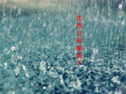 苏教版九年级语文上册07.在烈日和暴雨下ppt课件