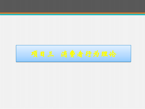 经济学基础--消费者行为理论  ppt课件