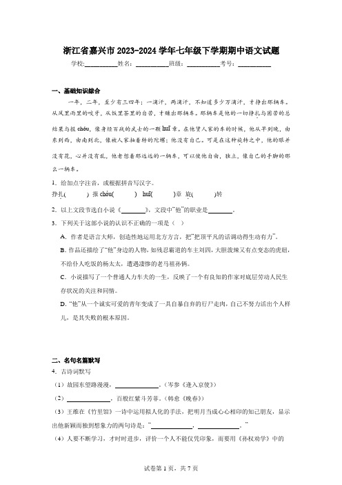 浙江省嘉兴市2023-2024学年七年级下学期期中语文试题