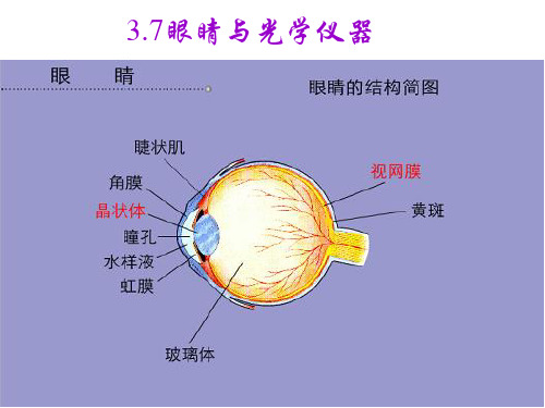 眼睛与光学仪器