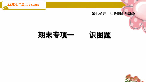 8生物LK五四版 期末专项、测试卷期末专项一 识图题