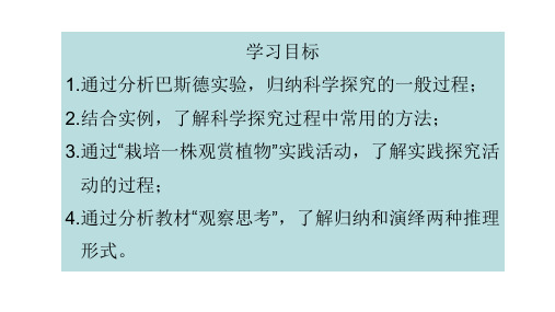 探究实践是研究生命现象的重要途径课件(共25张PPT)2024--2025学年济南版生物七年级上册