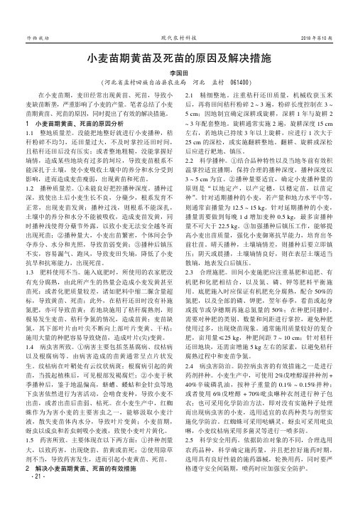 小麦苗期黄苗及死苗的原因及解决措施