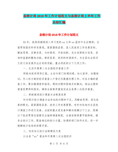 县统计局2018年工作计划范文与县统计局上半年工作总结汇编.doc