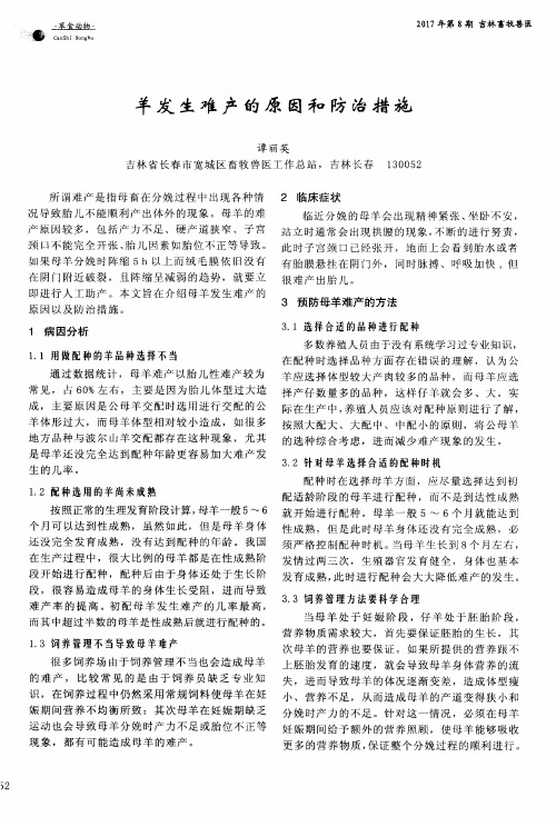 羊发生难产的原因和防治措施