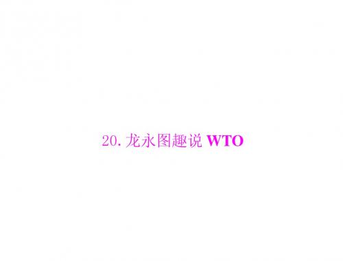 初三语文复习第5单元 20.龙永图趣说wto 优质课件(语文版九下)