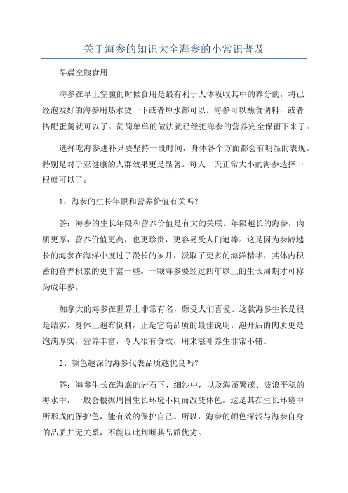 关于海参的知识大全海参的小常识普及