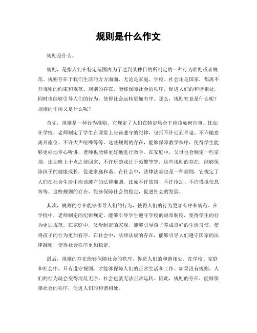 规则是什么作文