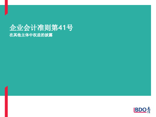 新企业会计准则—其他主体中权益的披露(040611)