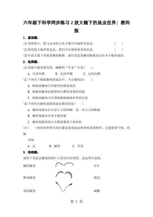 六年级下科学同步练习2放大镜下的昆虫世界∣教科版