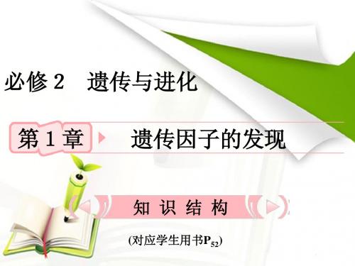 人教版2012高考生物总复习课件：11《孟德尔的豌豆杂交实验(一)》知识研习(新人教版必修2)(共32张PPT)