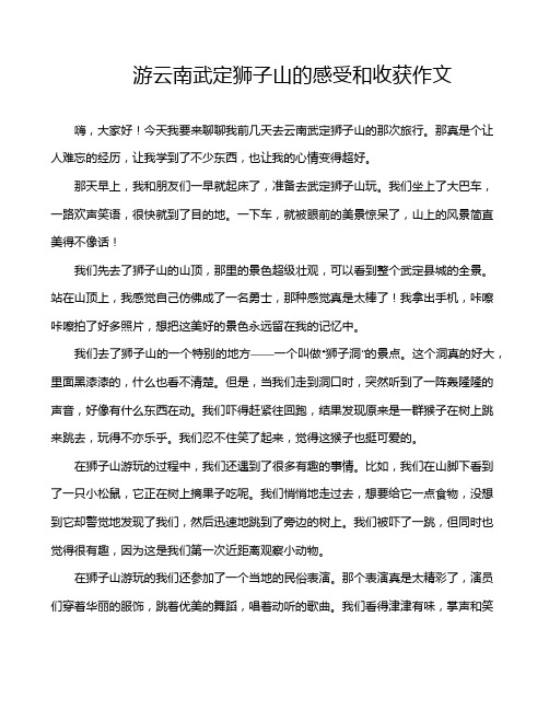 游云南武定狮子山的感受和收获作文