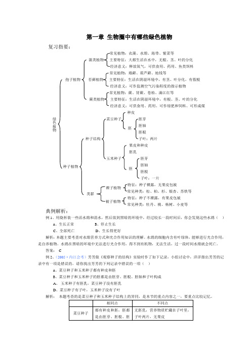 生物圈中有哪些绿色植物总复习教案1