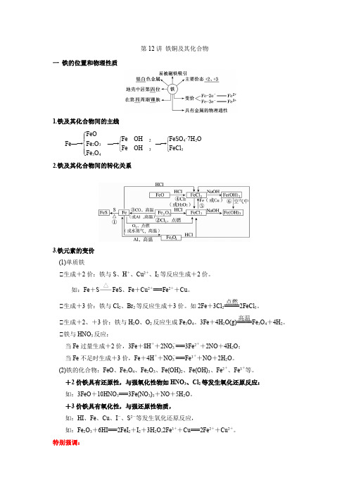 第12讲 铁铜及其化合物(讲义)(解析版) 