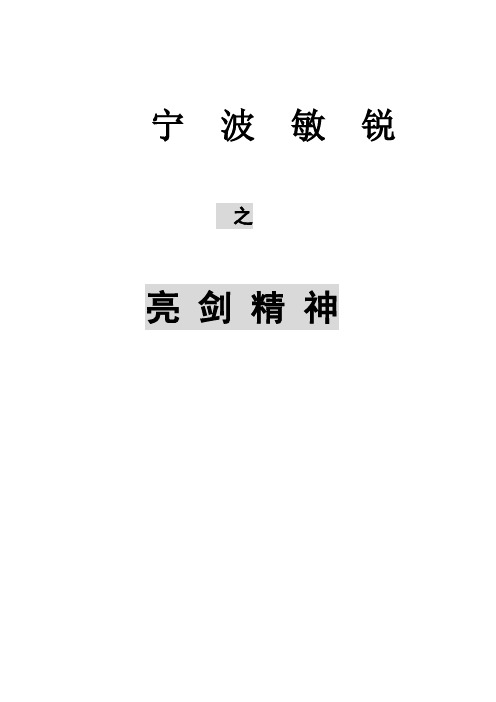 亮剑精神【精选文档】