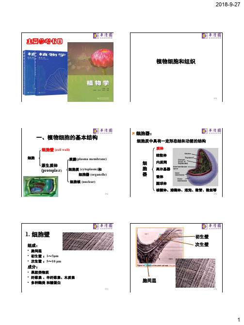 植物细胞与组织