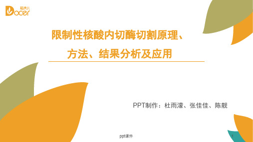 限制性核酸内切酶切割原理方法结果分析及应用  ppt课件