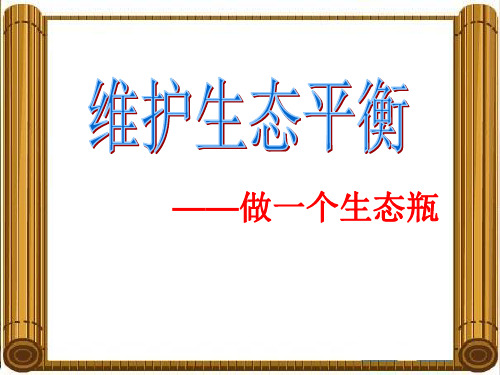 五年级上册科学课件-1.6做一个生态瓶 教科版(共10张PPT) (1)