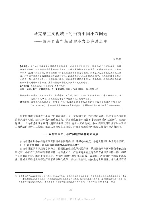 马克思主义视域下的当前中国小农问题——兼评自由市场派和小农经济派之争