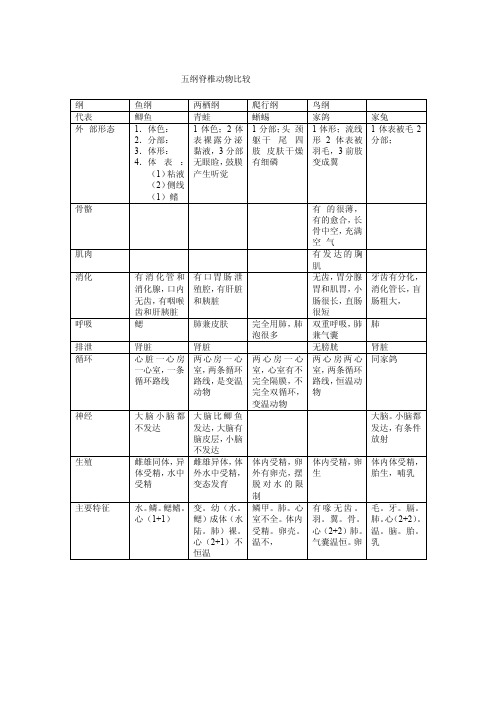 五纲脊椎动物比较