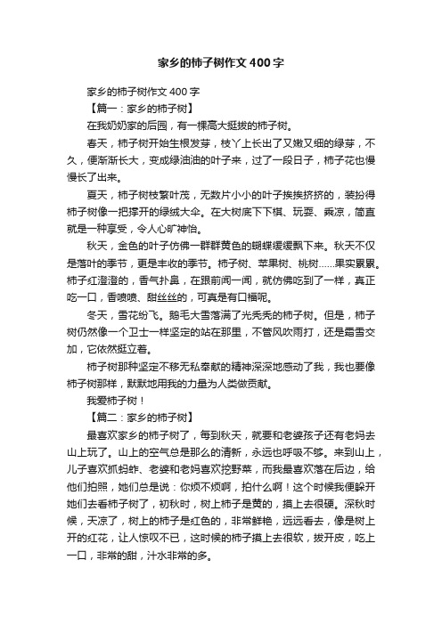 家乡的柿子树作文400字