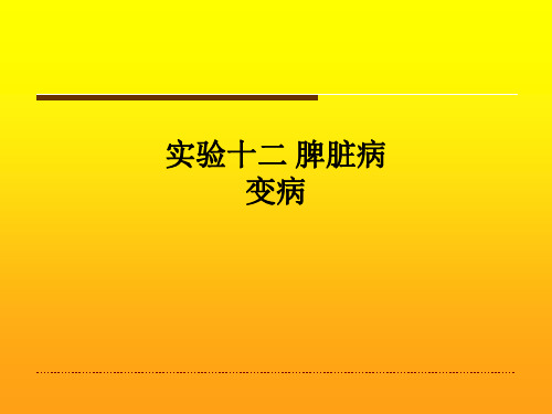 [医学]实验十二 脾脏病变病