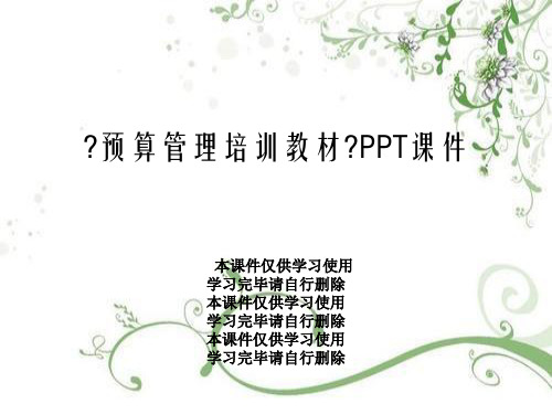 《预算管理培训教材》PPT课件