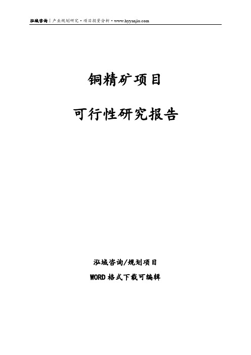 铜精矿项目可行性研究报告