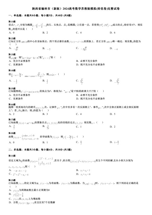 陕西省榆林市(新版)2024高考数学苏教版模拟(培优卷)完整试卷