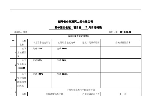 工程项目月报表模板