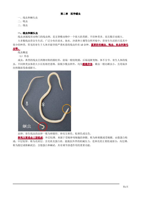 临床检验技师寄生虫学及检验医学蠕虫讲义