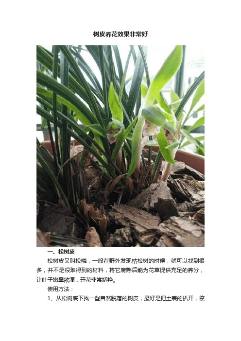 树皮养花效果非常好