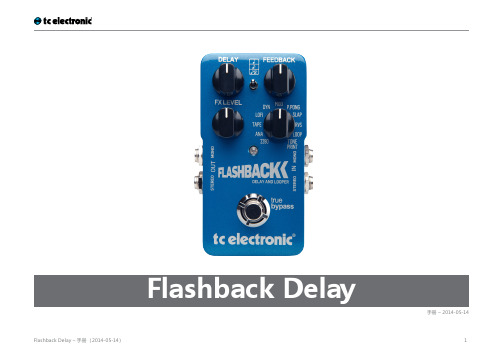 tc electronic flashback delay 用户手册说明书