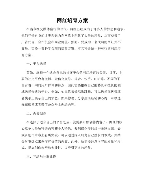 网红培育方案