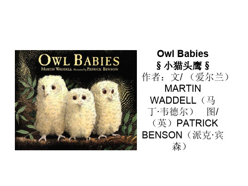 Owl Babies 小猫头鹰(中英文)