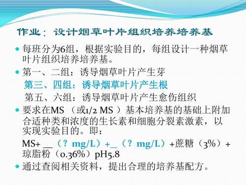 作业：设计烟草叶片组织培养培养基讲义