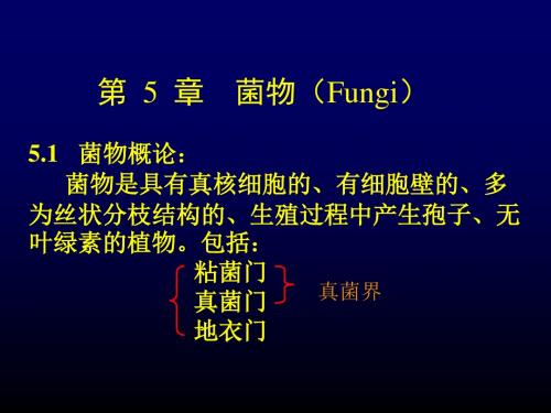 植物学-第 5 章  菌物