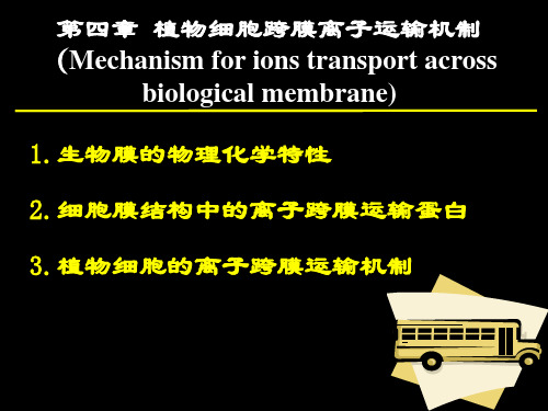 第四章 植物细胞跨膜离子运输