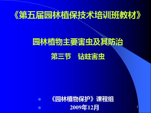 园林花木钻蛀性害虫及其防治PPT课件