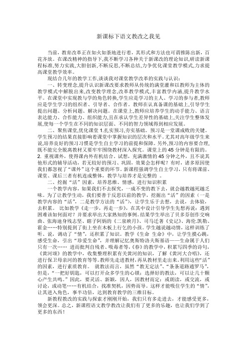 新课标下语文教改之我见