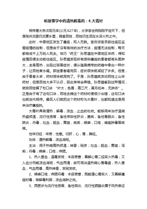 听故事学中药清热解毒药：4.大青叶