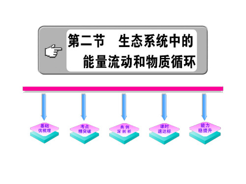 《生态系统中的能量流动和物质循环》(苏教版八年级下)