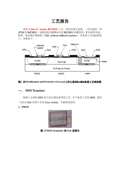 BCD工艺提图