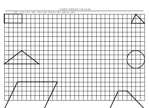 六年级数学下册图形的放大与缩小练习题