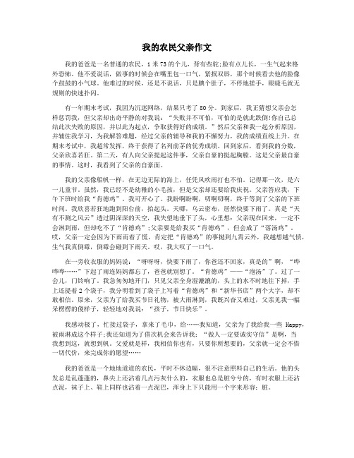 我的农民父亲作文