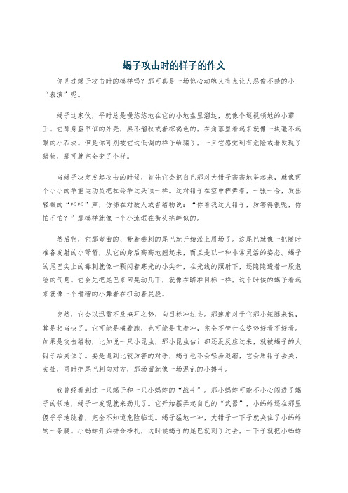 蝎子攻击时的样子的作文