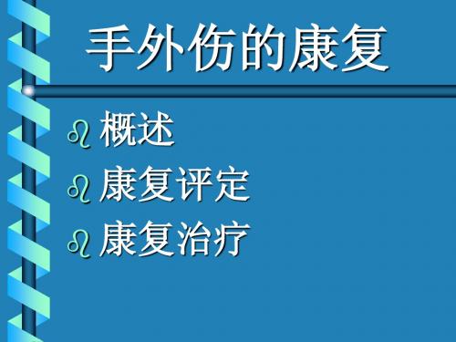 手功能康复大纲